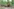 Entwurzelter Baum im Wald