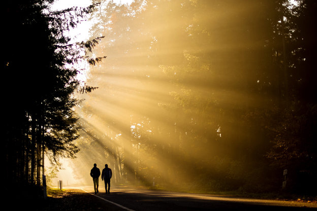 Zwei Menschen laufen im Sonnenschein im Wald