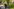 Ein älterer Mann mit Warnweste bekleidet trägt ein Paket mit dem Amazonlogo und geht eine Wohnstraße entlang Ein älterer Mann mit Warnweste bekleidet trägt ein Paket mit dem Amazonlogo und geht eine Wohnstraße entlang
