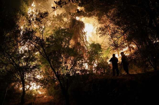Feuerwehrleute stehen vor den brennenden Bäumen eines Waldes