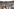 Blick über Dächer einer Altstadt, im Hintergrund der Harz