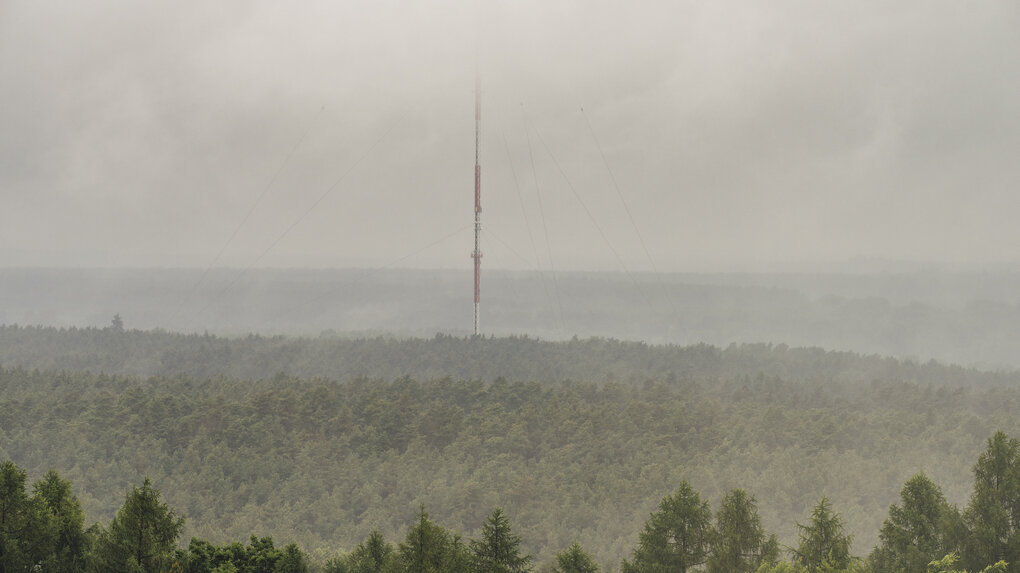 Landschaftsaufnahme zeigt Wald mit Nebel.