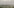 Landschaftsaufnahme zeigt Wald mit Nebel.