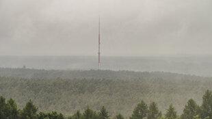 Landschaftsaufnahme zeigt Wald mit Nebel.