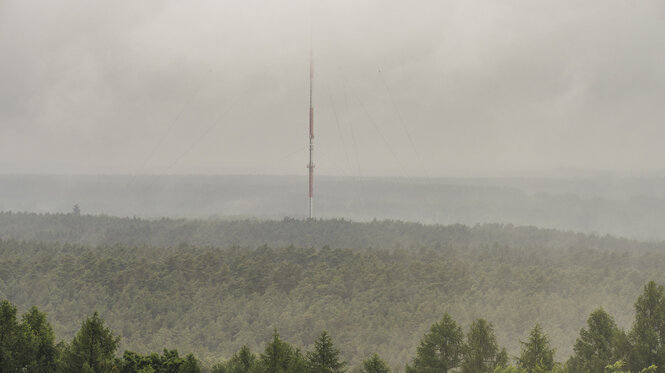 Landschaftsaufnahme zeigt Wald mit Nebel.