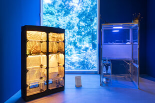 Mehrere technisch anmutende Glasvitrinen in blaues Licht getaucht