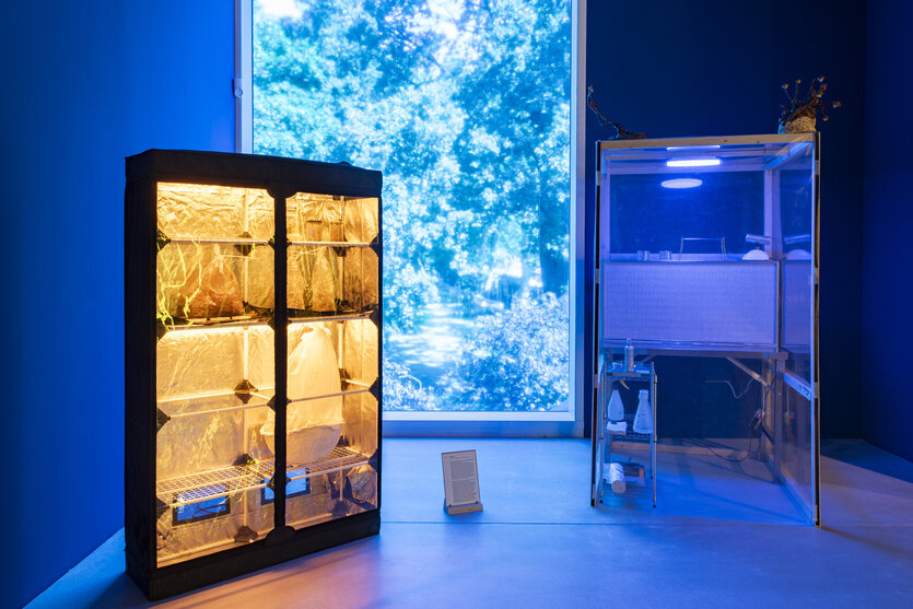 Mehrere technisch anmutende Glasvitrinen in blaues Licht getaucht