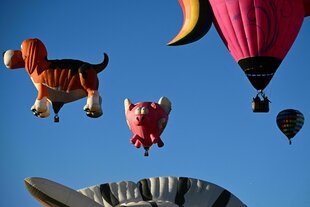 Heißluftballons Schwein und Hund