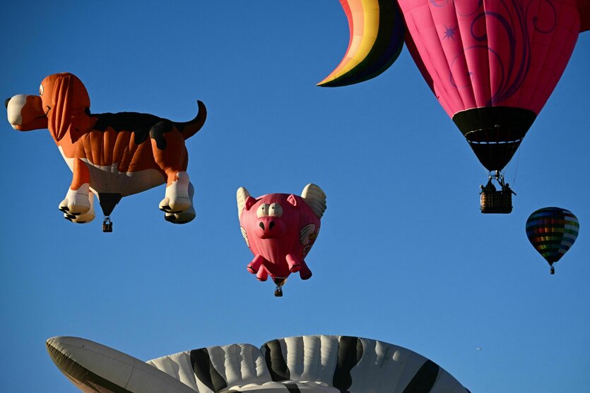 Heißluftballons Schwein und Hund