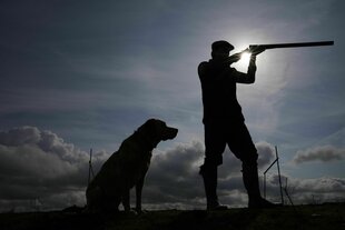 Auf der Jagd