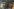 Verkohlte Balken vor einer Graffitiwand