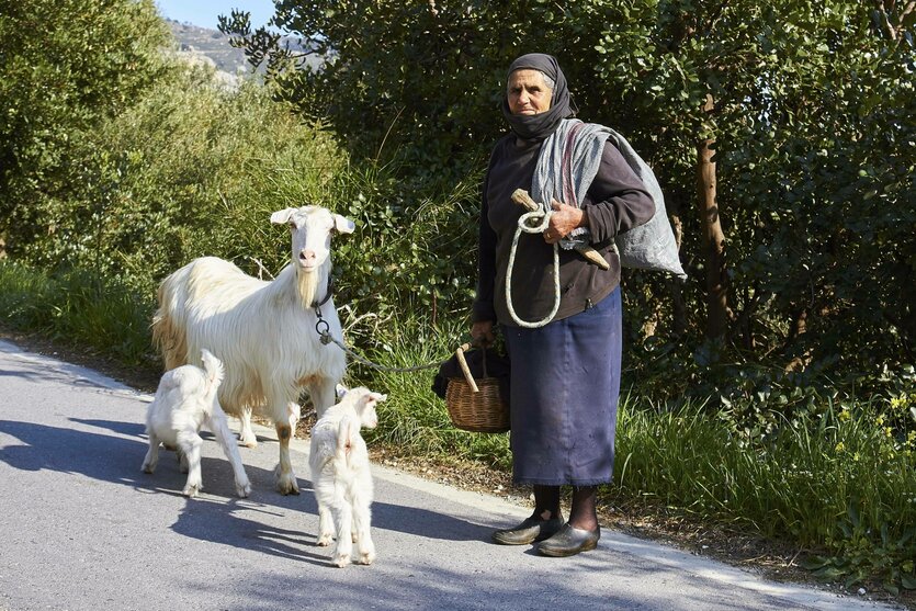 eine ältere Frau mit drei Ziegen auf einer Straße auf Kreta, Griechenland