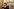 Der republikanische Abgeordnete Tim Burchett