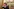 Der republikanische Abgeordnete Tim Burchett