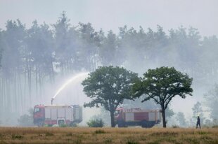 Brennender Wald, Rauch steigt auf zwei, Löschfahrzeuge werfen Wasser in die Flammen, im Vordergrund zwei intakte Bäume