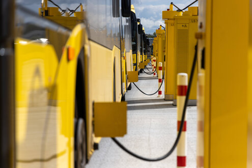 Gelbe Elektrobusse werden per Kabel aufgeladen