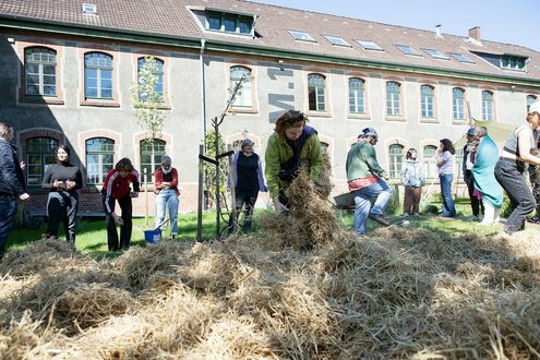 Menschen pflanzen Kartoffeln in Hohenlockstedt.