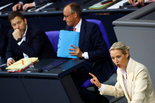 Alice Weidel bei ihrer Rede im Bundestag