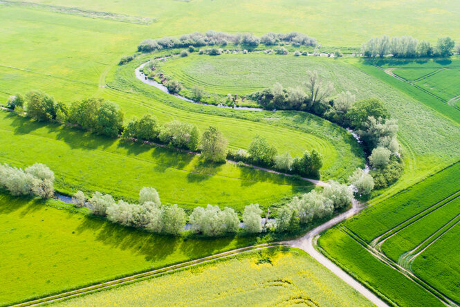 Ein Luftbild von grünen Feldern mit einem gewundenen Fluss, der von Bäumen gesäumt ist. Die Landschaft zeigt landwirtschaftlich genutztes Land mit parallelen Pfaden und Schatten der Bäume bei hellem Tageslicht.