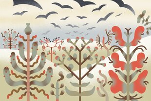 Eine Illustration von Kräutern und Vögeln