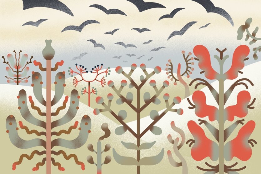 Eine Illustration von Kräutern und Vögeln