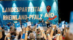 AfD-Deligierte halten Kärtchen in die Höhe