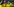 Pierre-Emerick Aubameyang jubelt