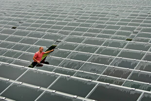 Ein Techniker kontrolliert Solar-Module von montierten und verkabelten Solarmodulen