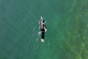 Ein Rheinschwimmer aus der Vogelperspektive
