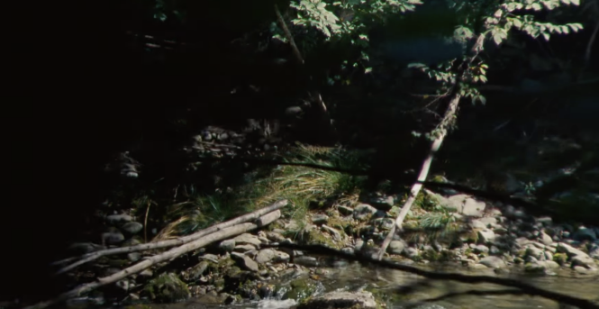 Ein Filmstill zeigt einen Fluss im Wald.