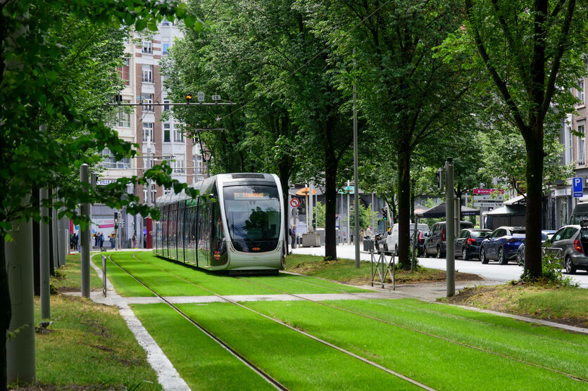 Straßenbahn auf eine begrünten Schiene.