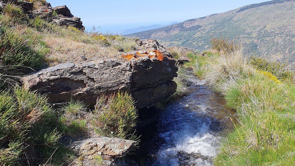 Ein Bach fließt durch eine grüne Berglandschaft