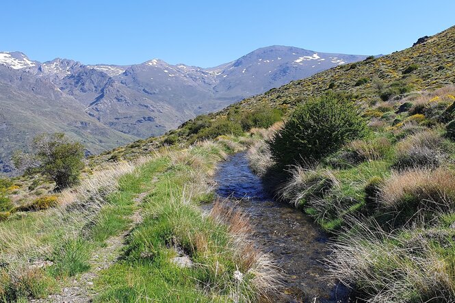 Ein Bach fließt durch eine grüne Berglandschaft