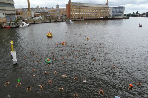 Schwimmende in der Spree