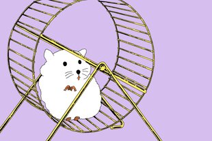 Eine Illustration. Ein weißer Hamster mit zusammengelegten Pfoten, der in einem stehenden Hamsterrad kauert.