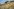 Mähmaschine auf Kornfeld, schräg von vorn fotografiert Mähmaschine auf Kornfeld, schräg von vorn fotografiert