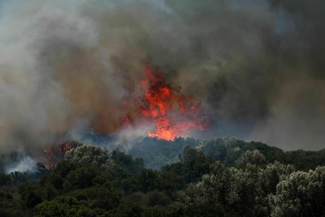 Ein rieseiger Waldbrand mit starker Rauchentwicklung