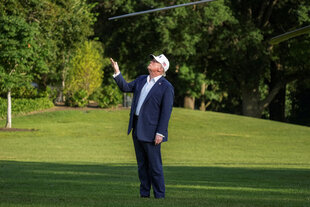 Donald Trump steht auf einer Wiese und guckt gen Himmel
