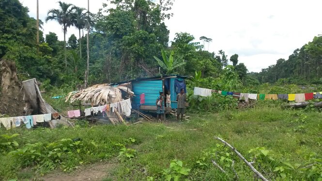 Angehörige eines halbnomadischen Stammes haben sich im Regenwald in dem Dorf Lembafori im Nordwesten von Papua auf der Insel Neuguinea angesiedelt