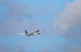Ein Flugzeug von Qatar Airways, das den Abschiebeflug durchführte, am Himmel