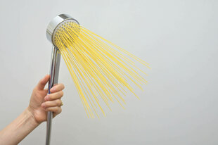 Aus einem Duschkopf kommen Spaghetti.