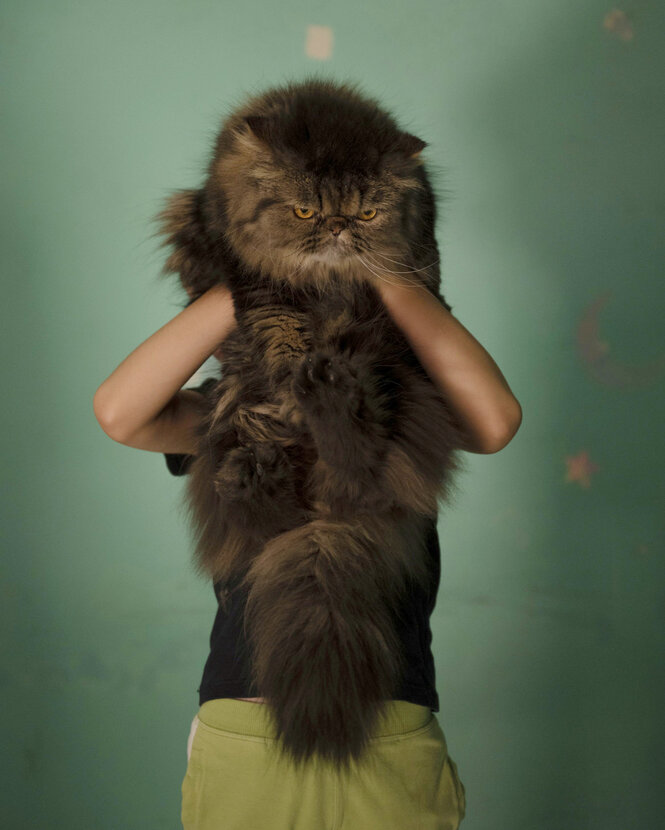 Ein Kind hält eine Katze hoch.