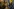 Blick durch die Scheibe eines Western Union Shops in New York