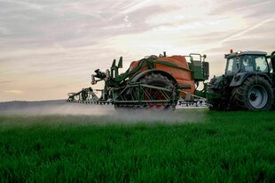 Landwirt spritzt gegen Abend sein Getreide gegen Unkraut, Sprühnebel im Gegenlicht