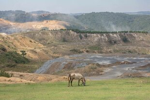 Felsig-hügelige Lndschaft, leichte Spuren von Bergbau, im Vordergrund grast ein Pferd auf grüner Wiese