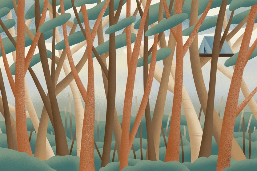 Illustration von einem Wald