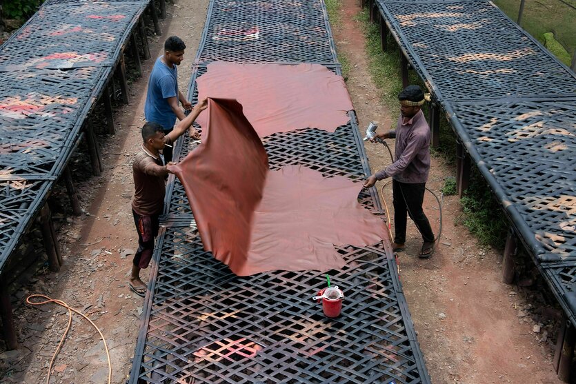 Arbeiter legen Lederstücke zum Trocknen und Färben in einer Gerberei in Dhaka, Bangladesch, auf ein Gestell.