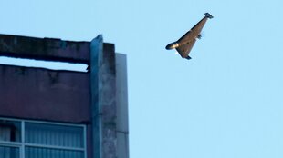 Eine Drohne kurz vor dem Einschlag in eine Haus.