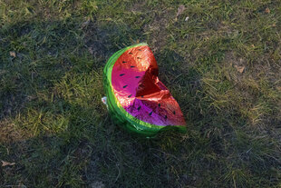 Ein Luftballon in Melonenform liegt leer asls Müll auf dem Rasen – Zertrampelte Palästina­solidarität beim Dyke March im Jahr 2024