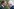 Emmanuel Macron begrüßt Palästinenserpräsident Mahmud Abbas vor ihrem Treffen im Elysee-Palast im Jahr 2018